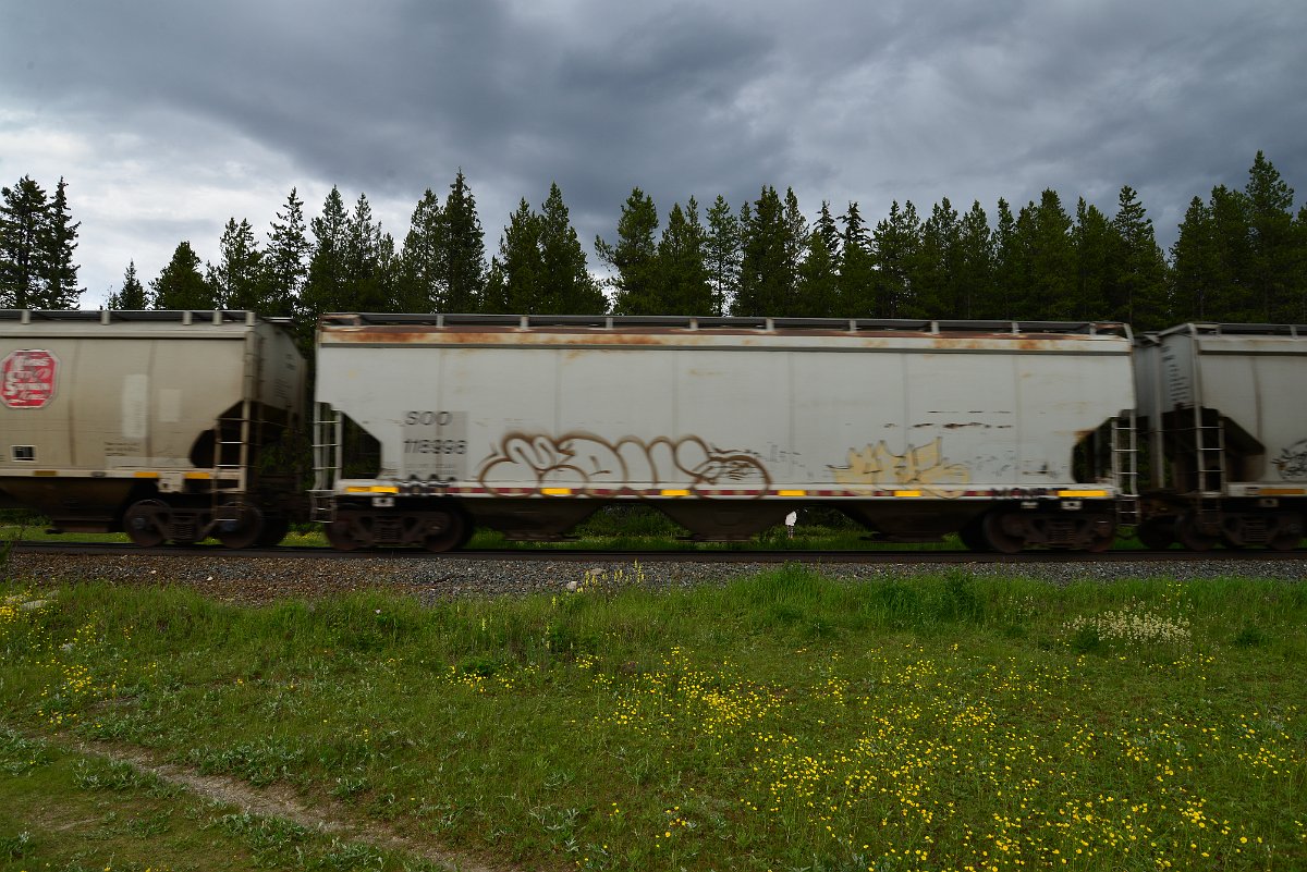 DSC_2892.JPG
