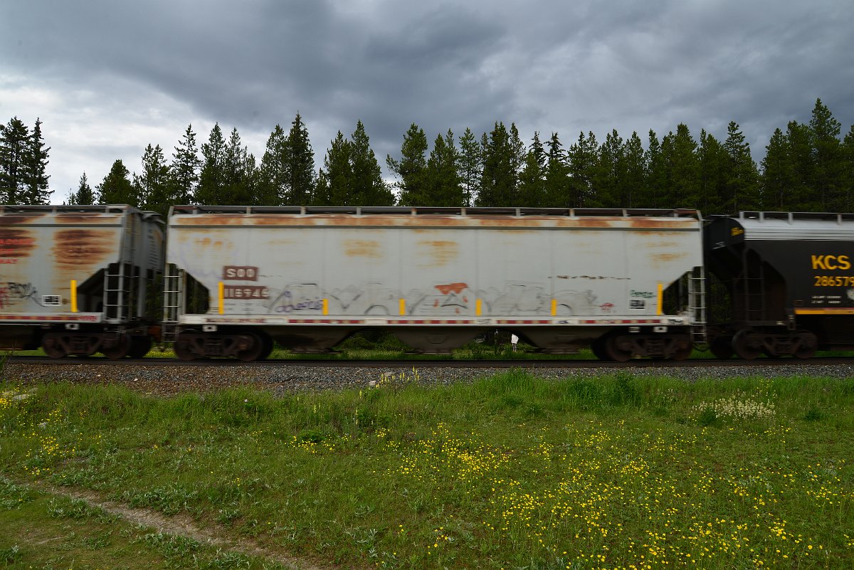 DSC_2896.JPG