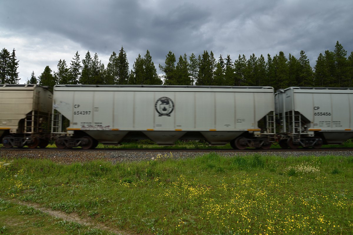 DSC_2904.JPG