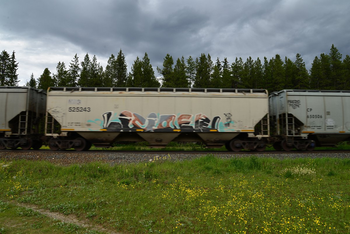 DSC_2910.JPG