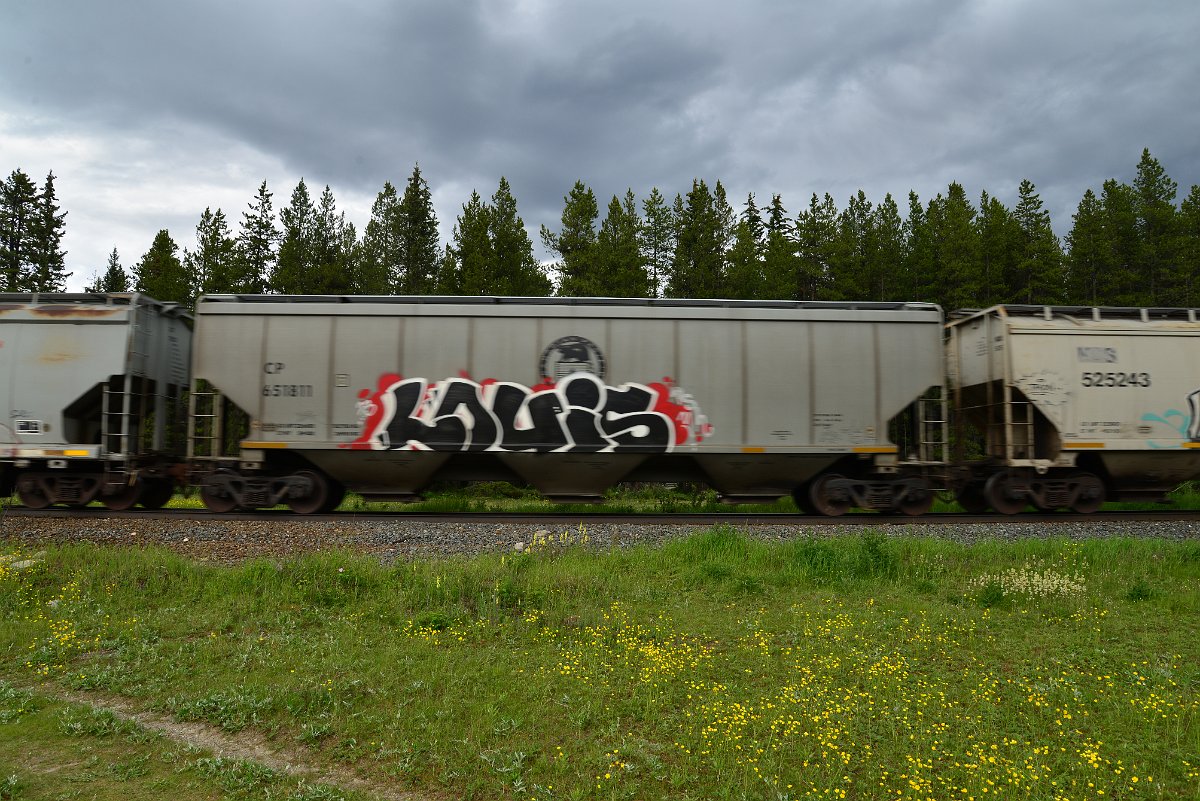 DSC_2911.JPG