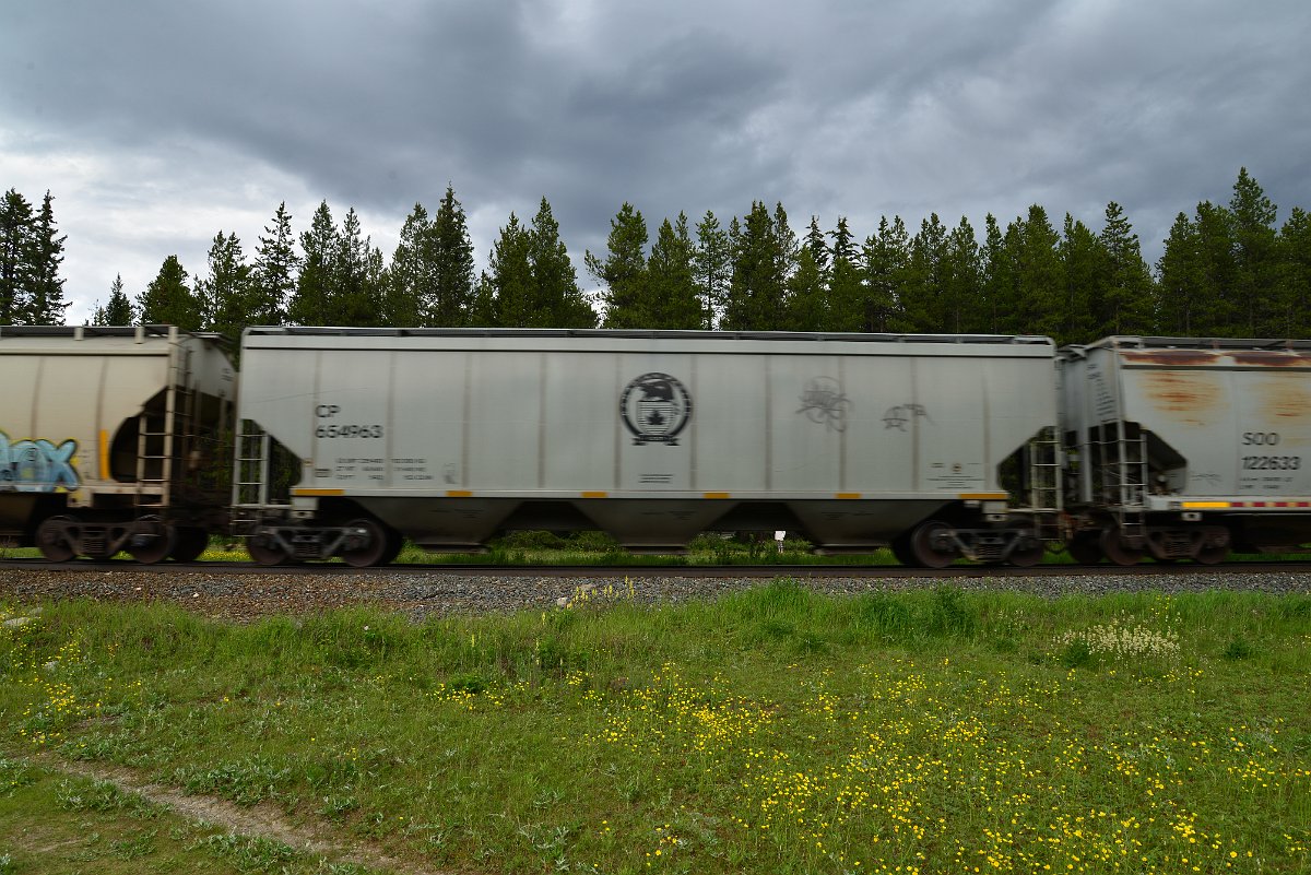 DSC_2913.JPG