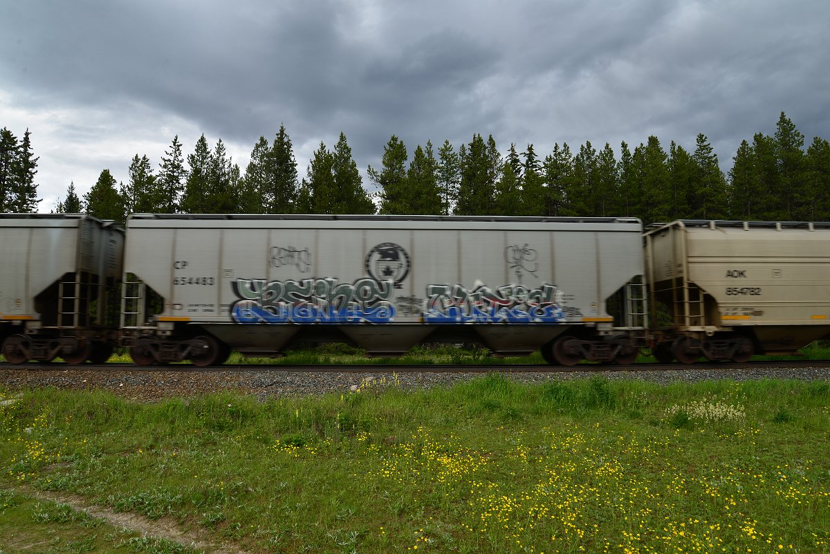 DSC_2923.JPG