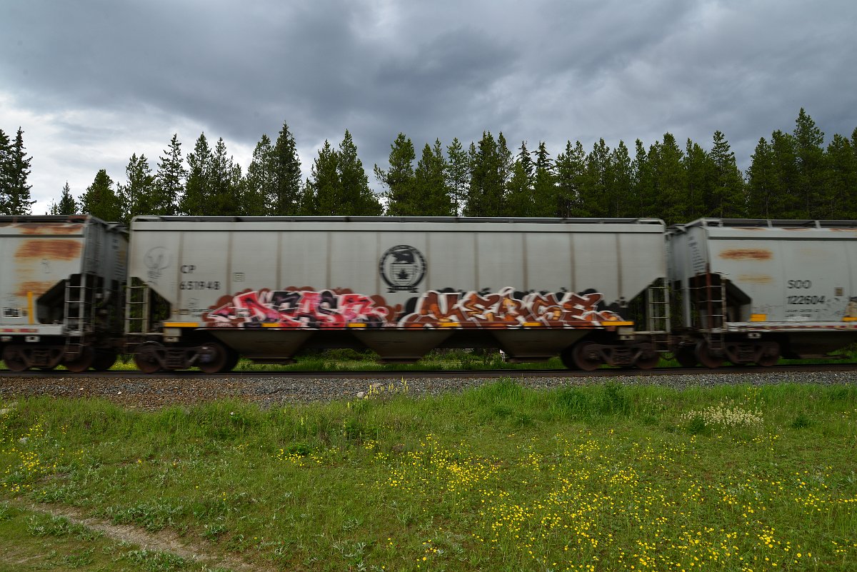 DSC_2934.JPG