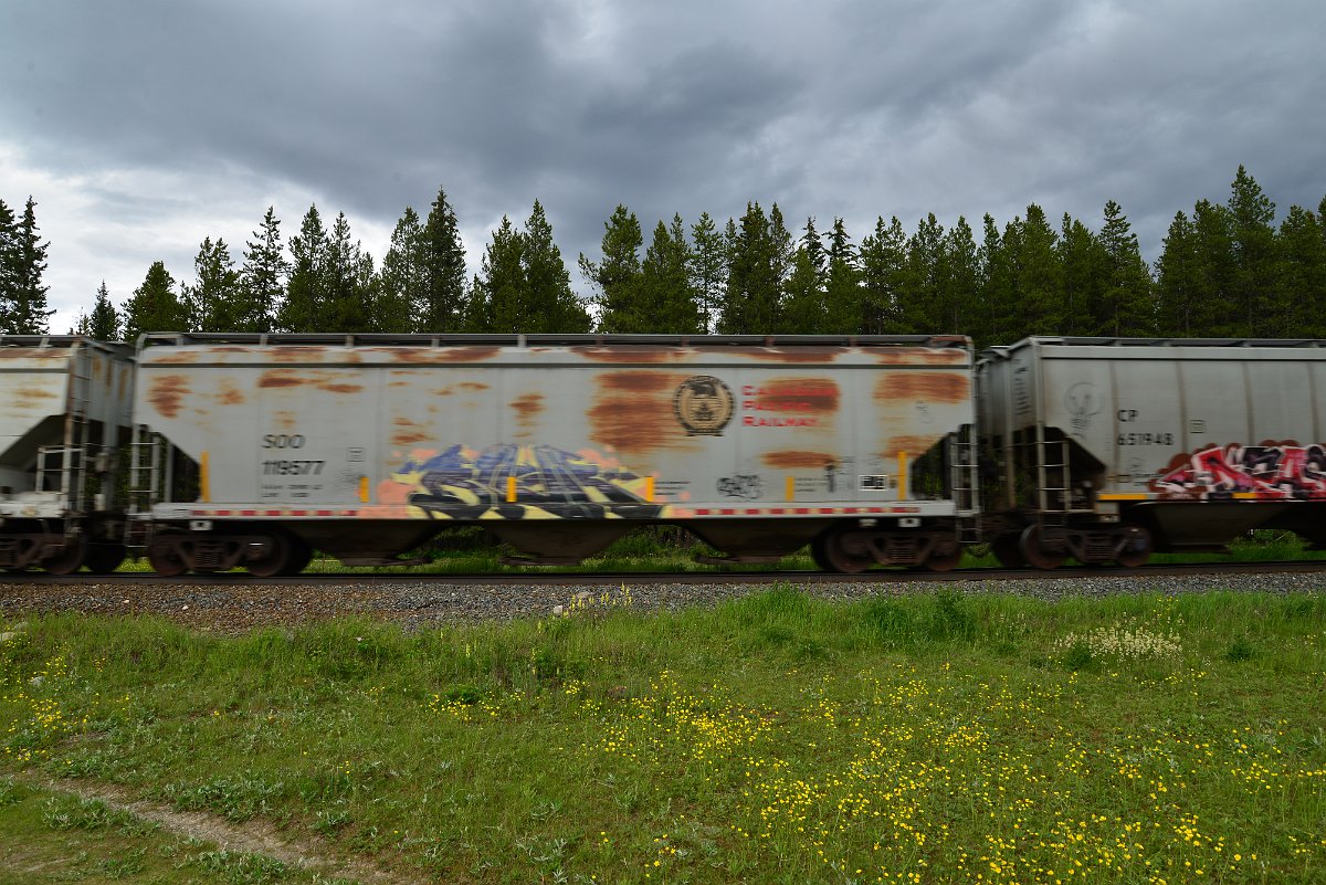 DSC_2935.JPG