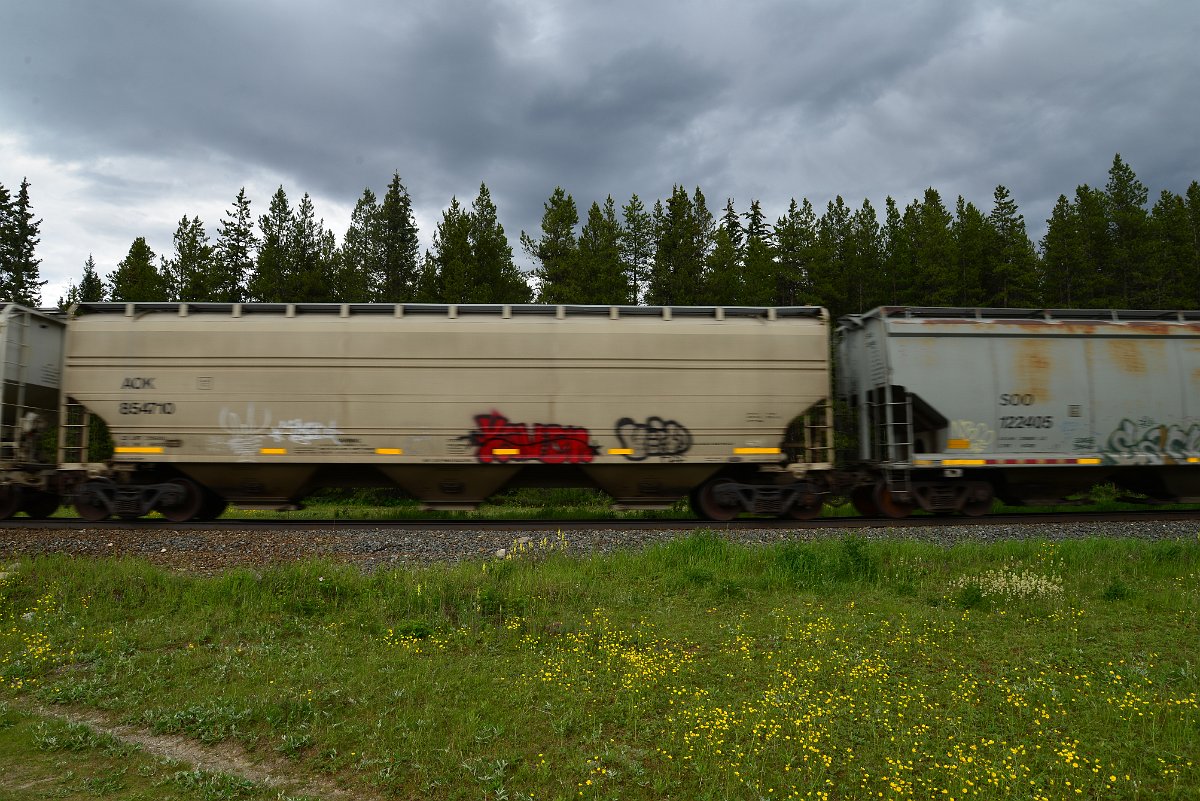 DSC_2940.JPG