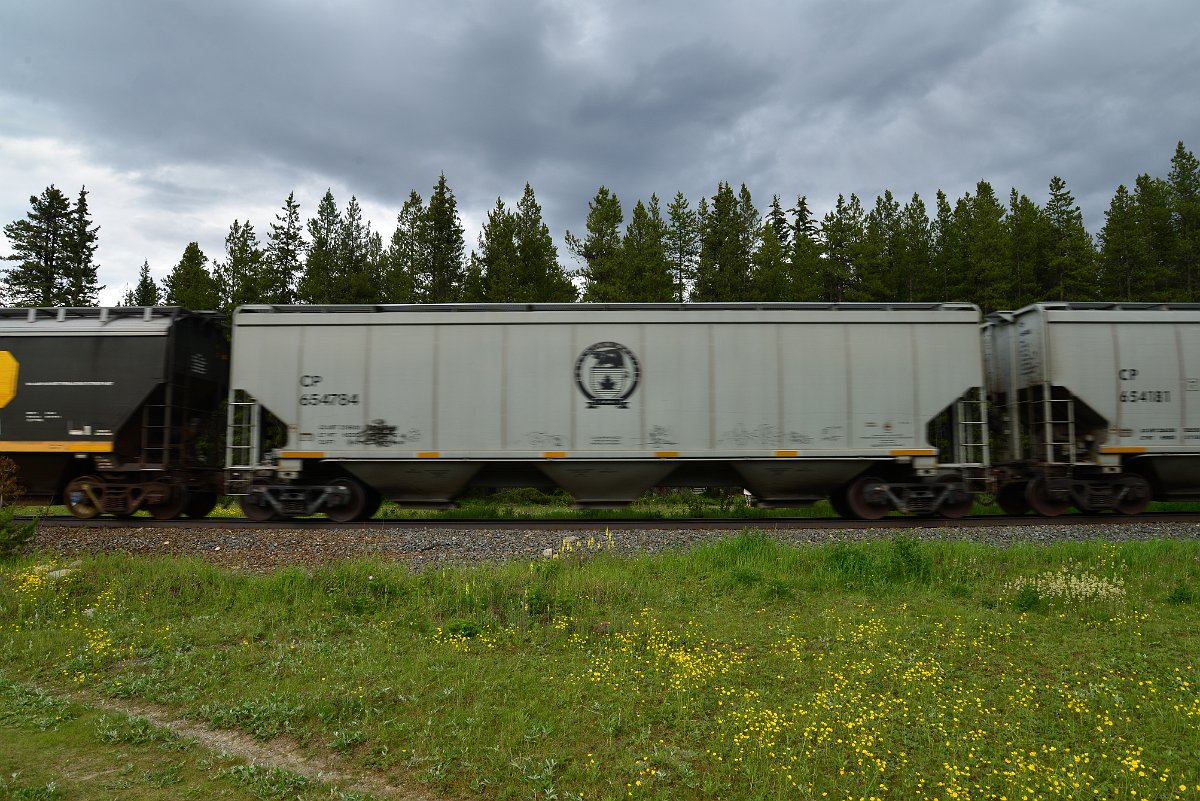 DSC_2943.JPG