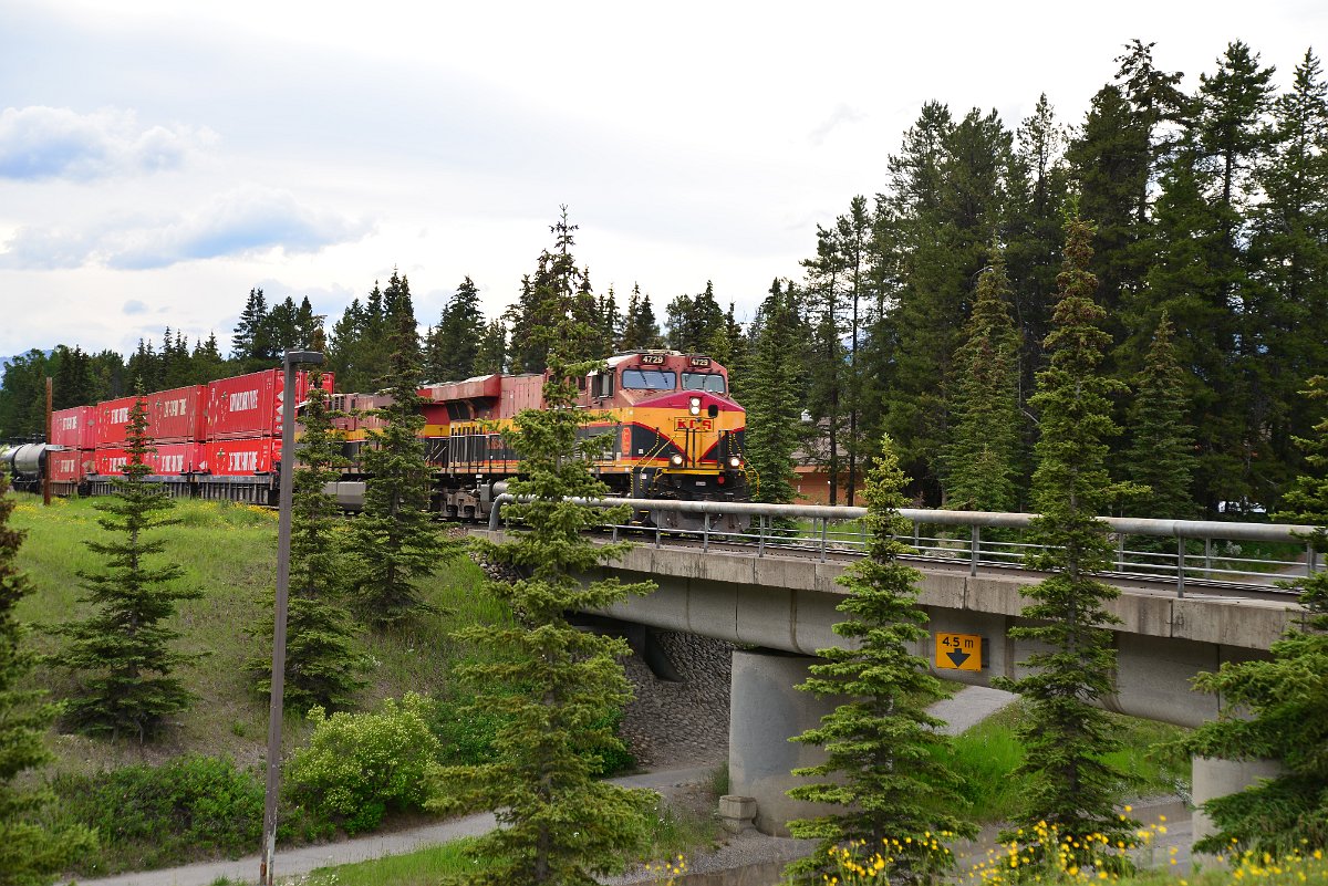 DSC_2959.JPG