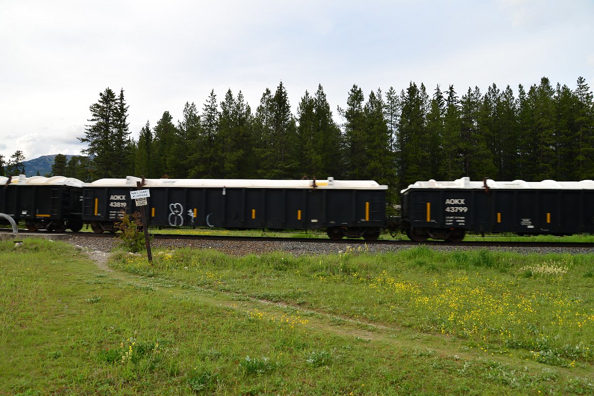 DSC_2976.JPG