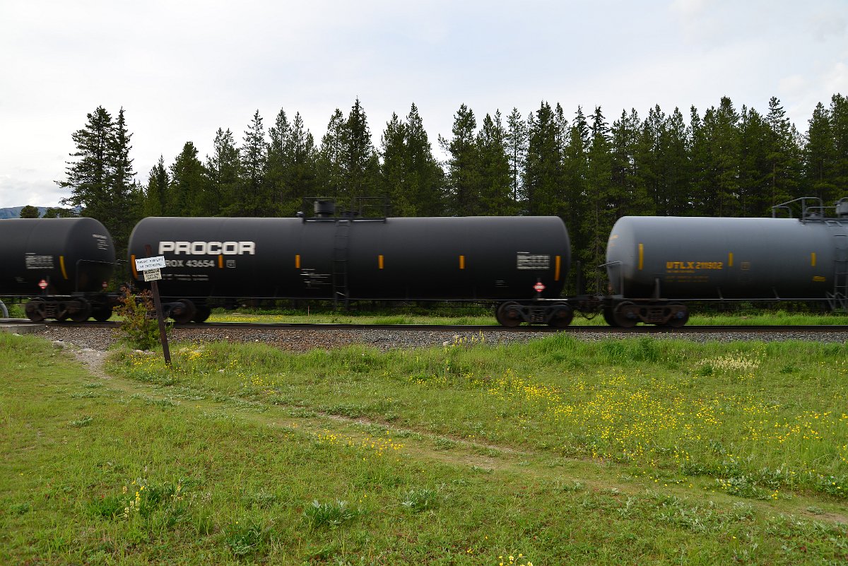 DSC_3008.JPG