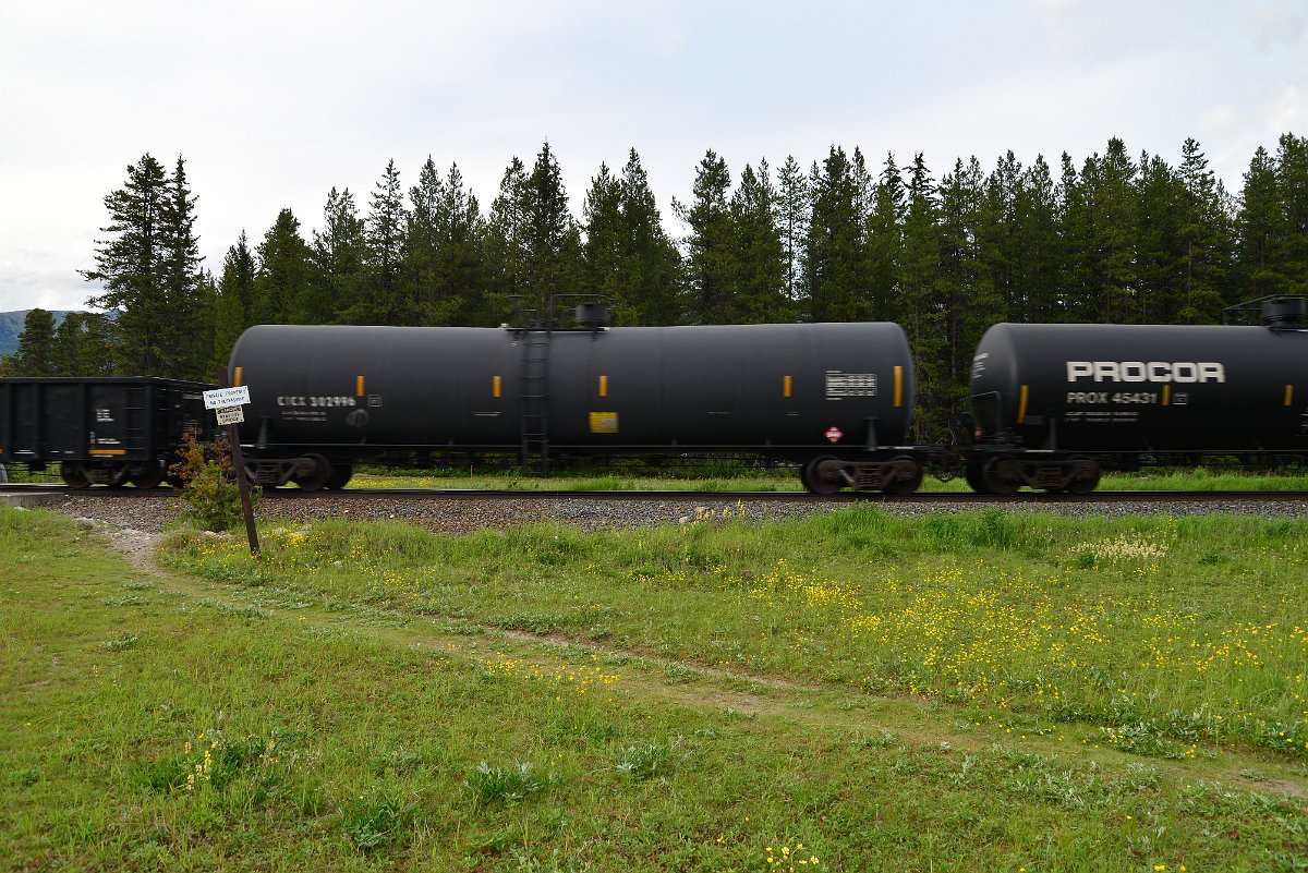 DSC_3010.JPG