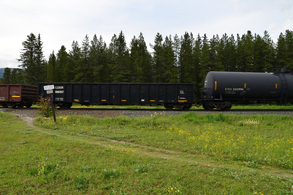 DSC_3011.JPG