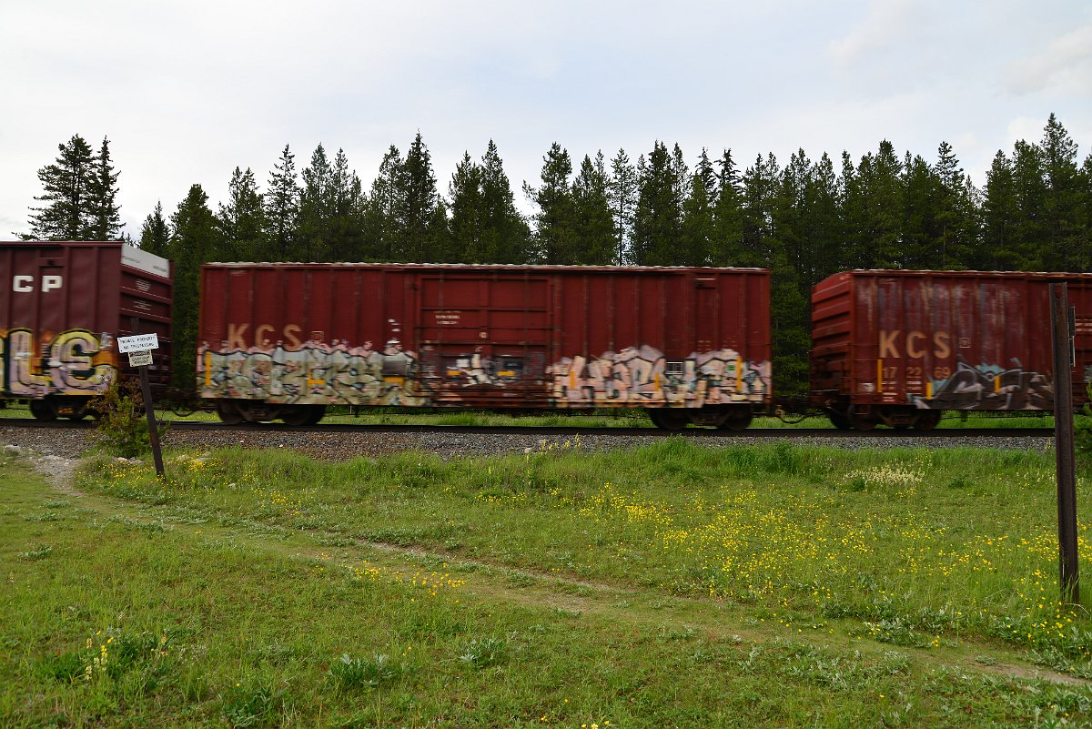 DSC_3043.JPG