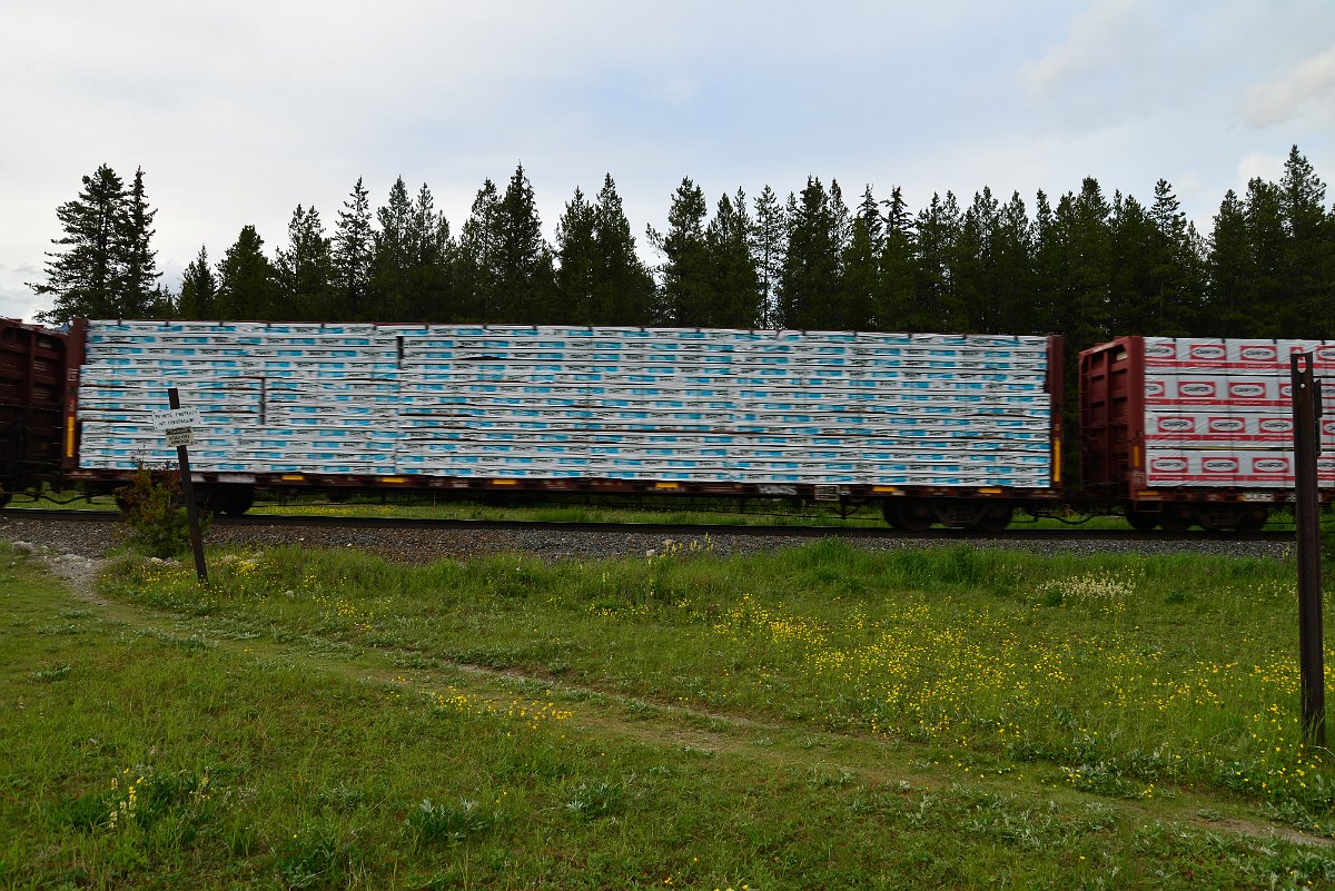 DSC_3051.JPG