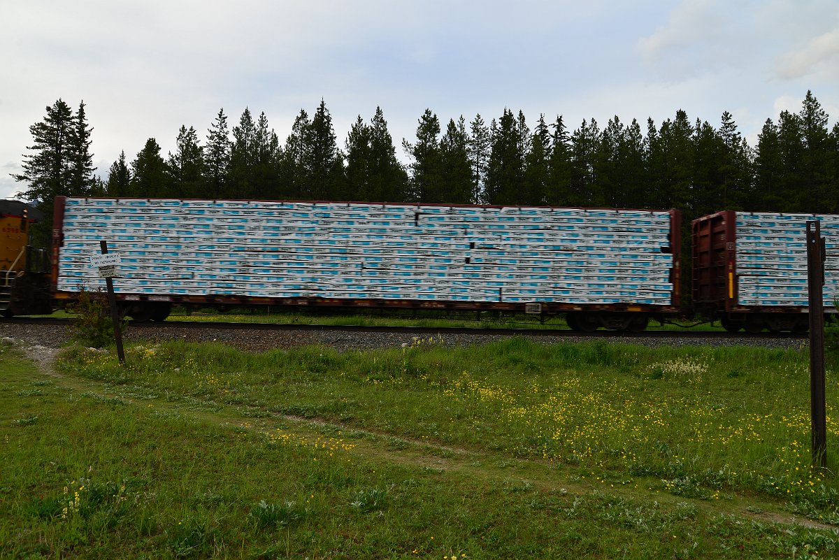 DSC_3052.JPG