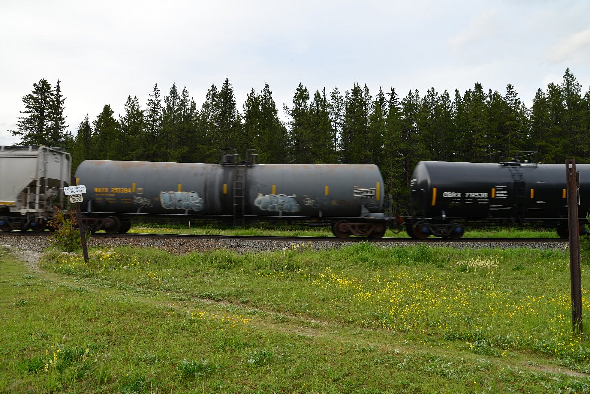 DSC_3065.JPG