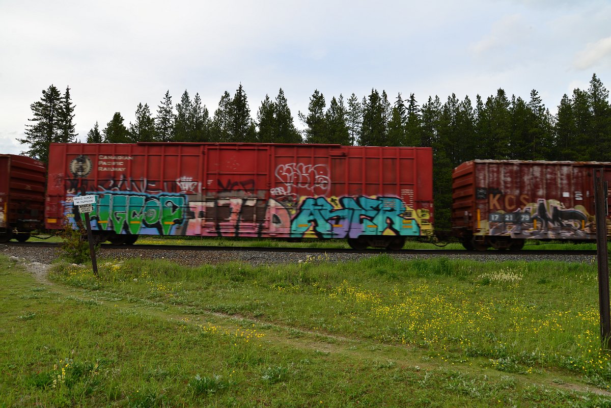 DSC_3070.JPG