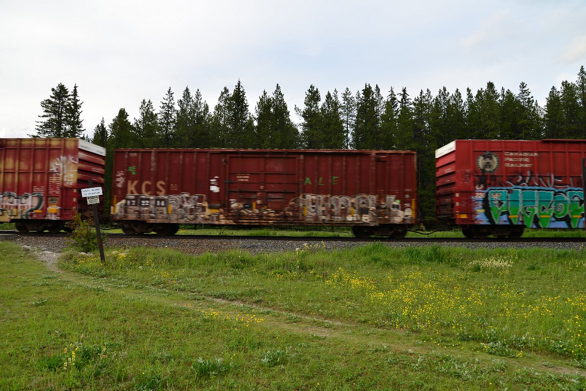 DSC_3071.JPG
