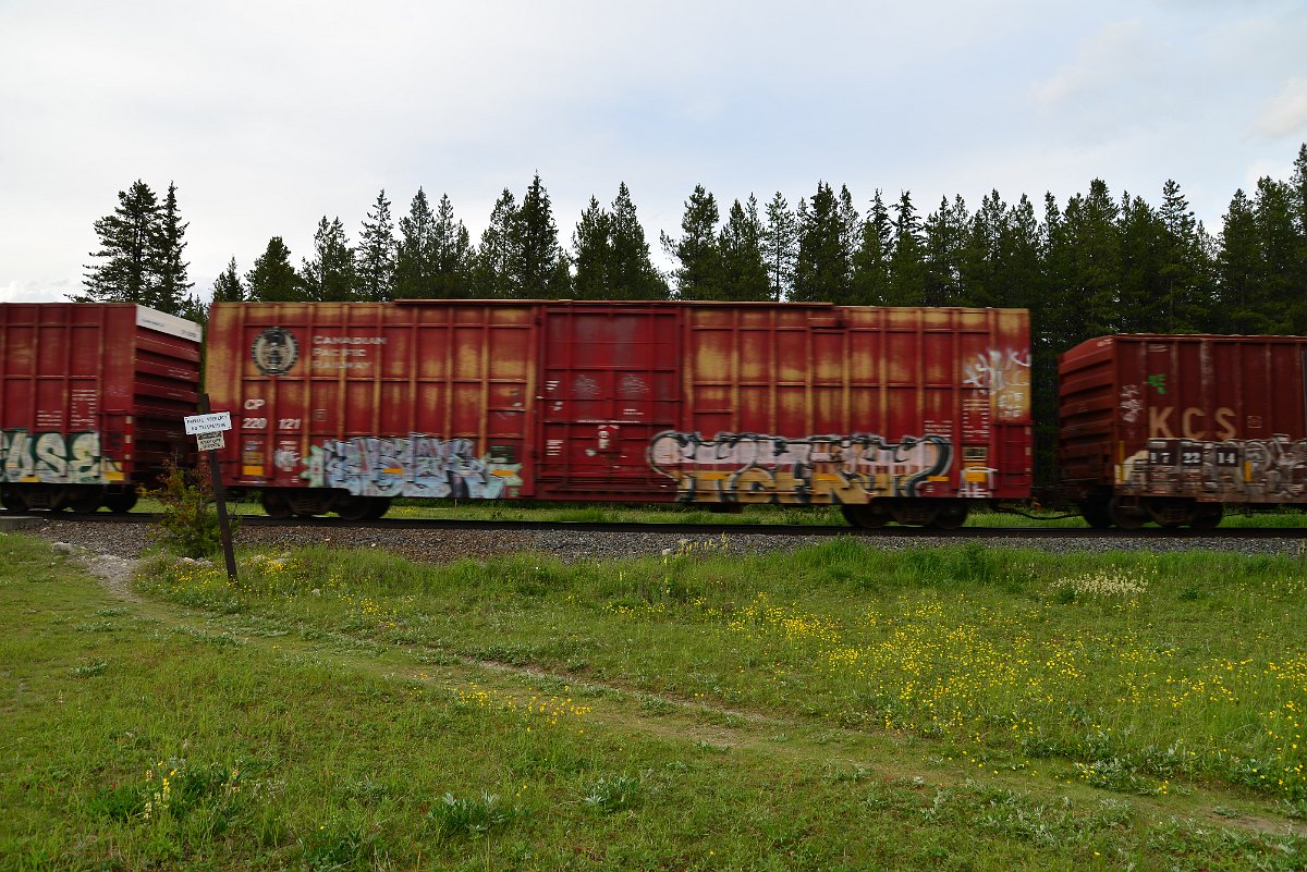 DSC_3072.JPG