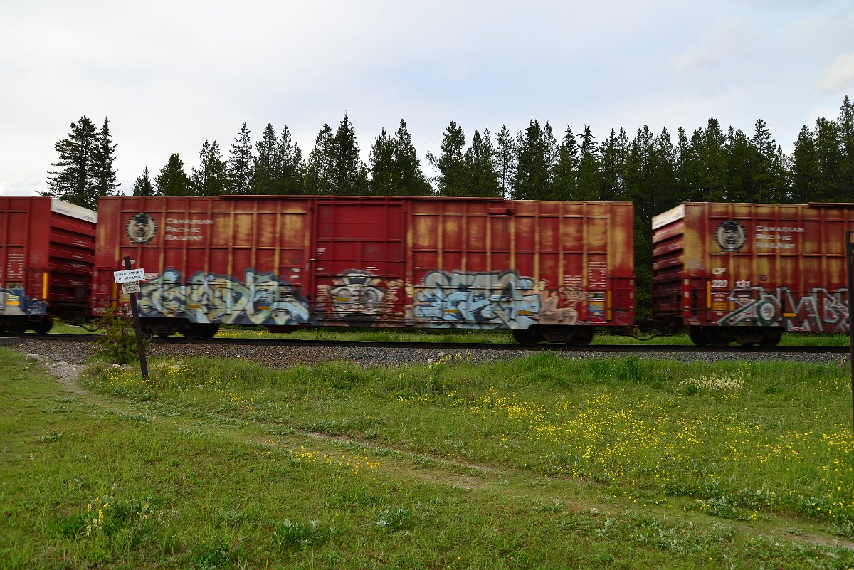 DSC_3076.JPG