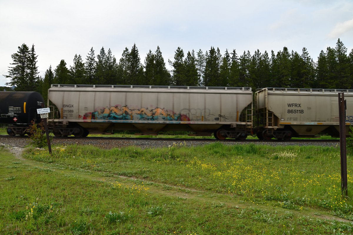 DSC_3090.JPG