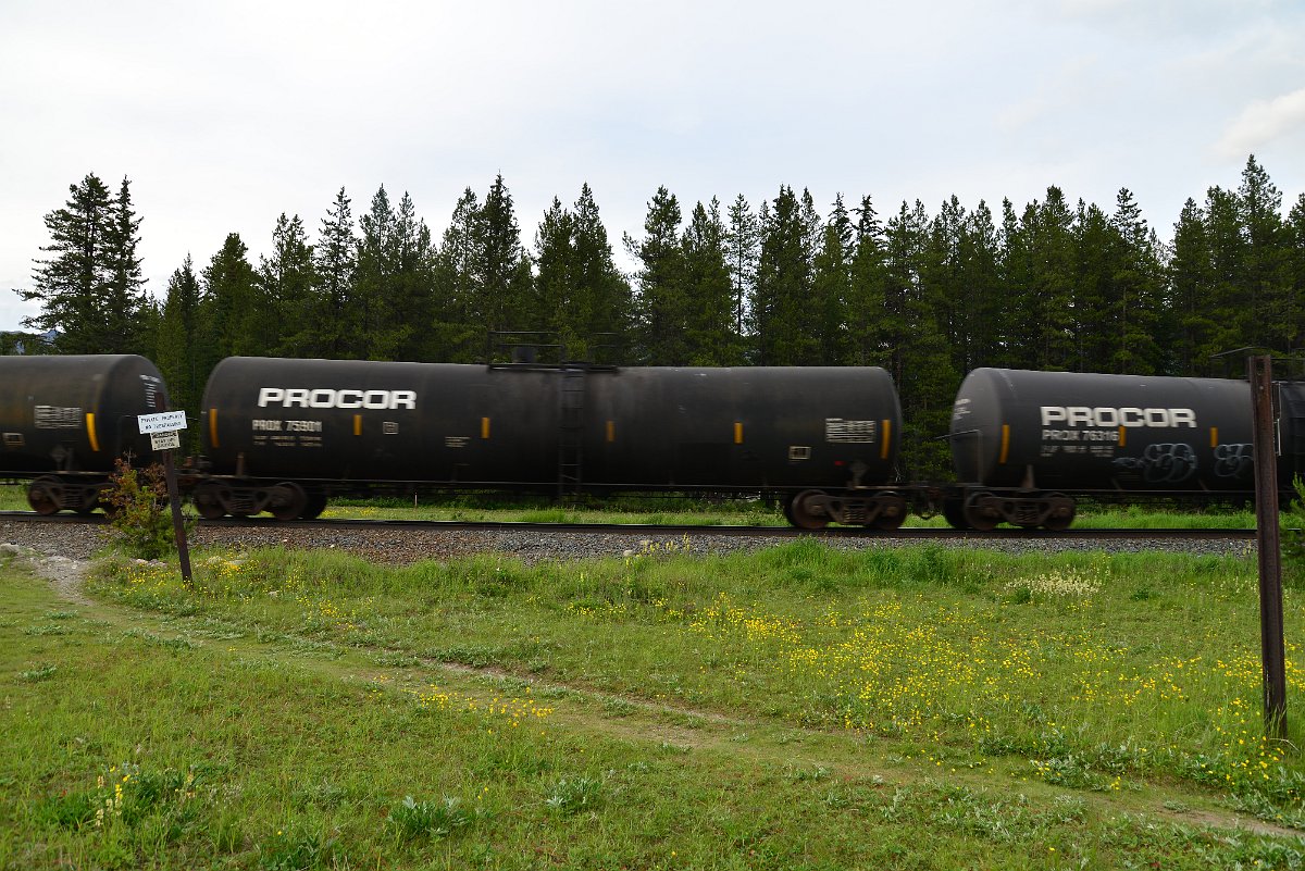 DSC_3099.JPG