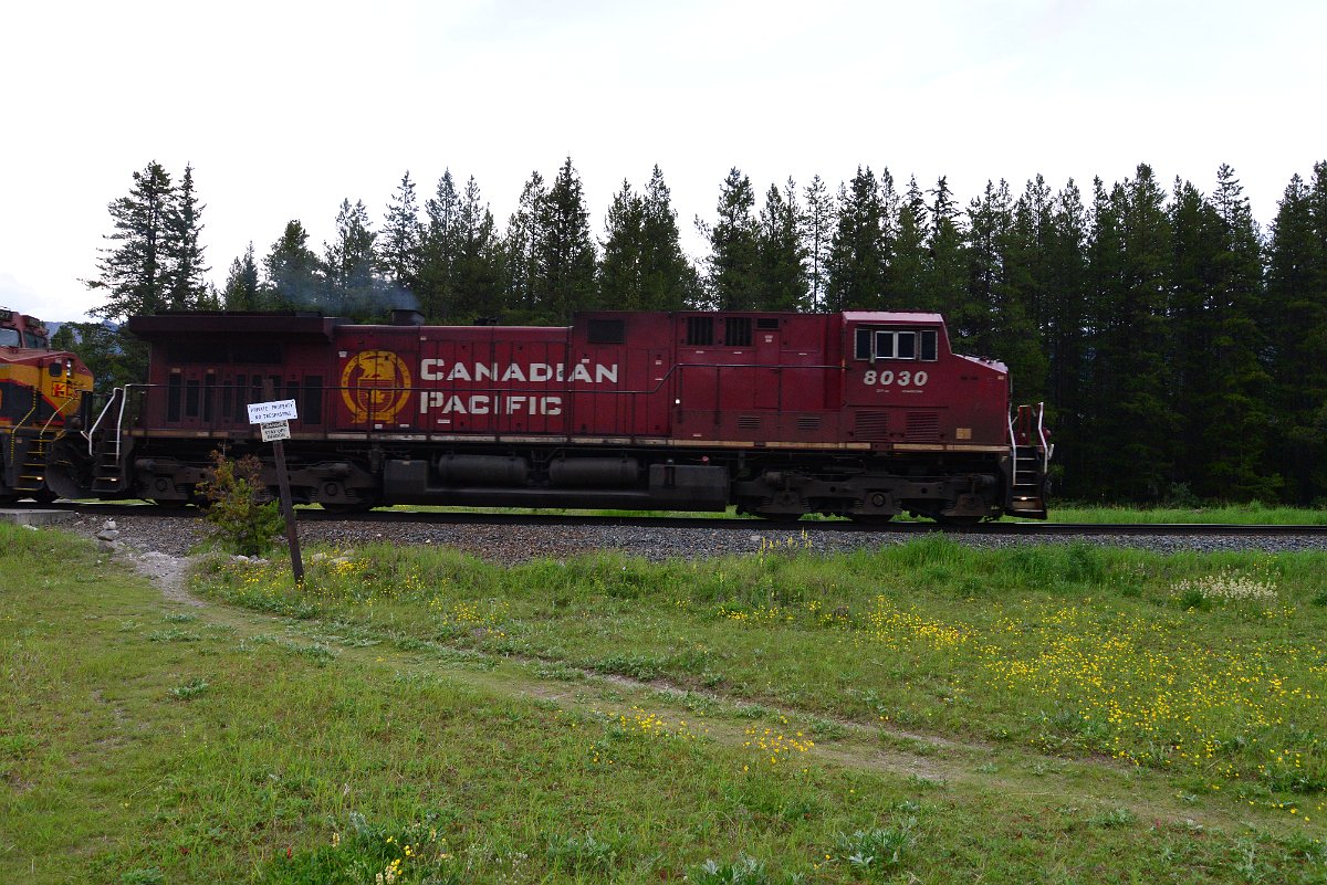 DSC_3103.JPG