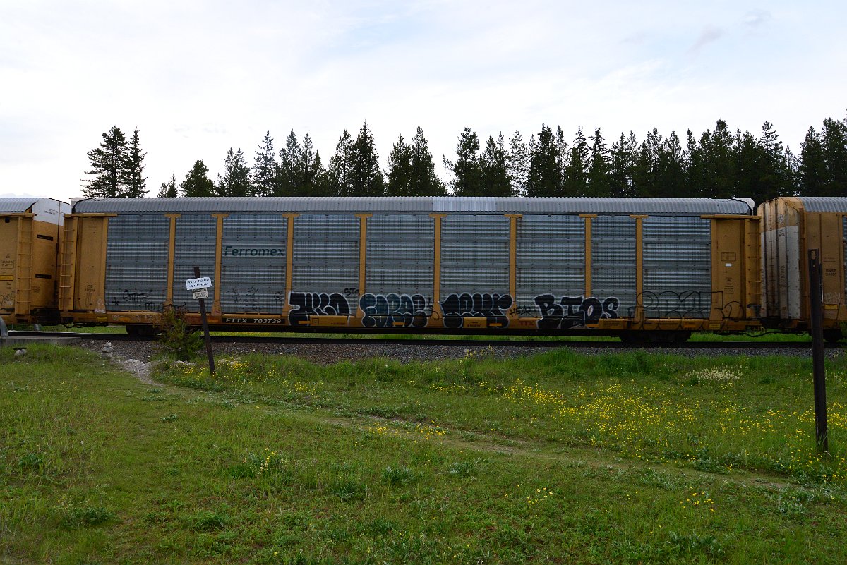 DSC_3131.JPG