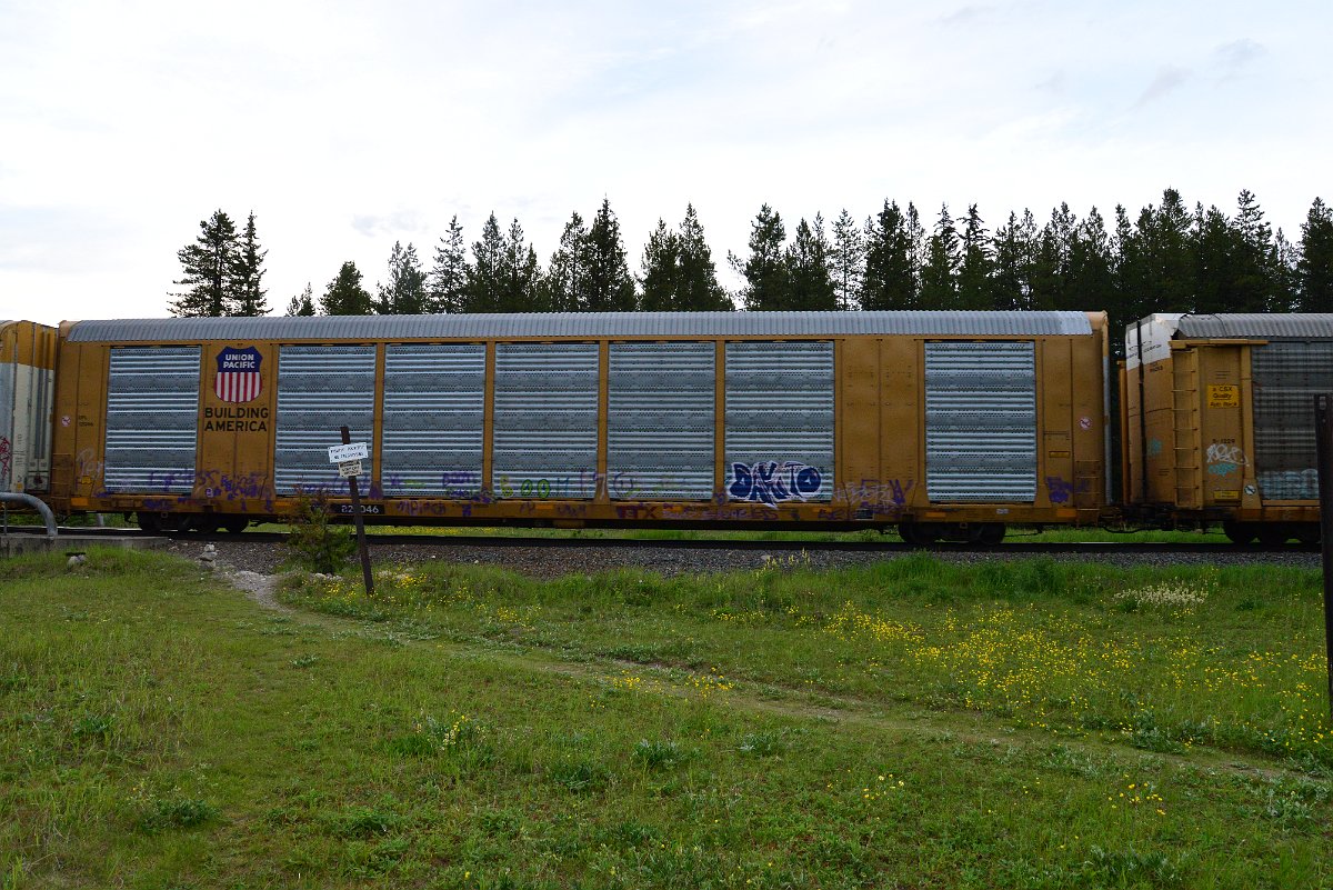DSC_3151.JPG
