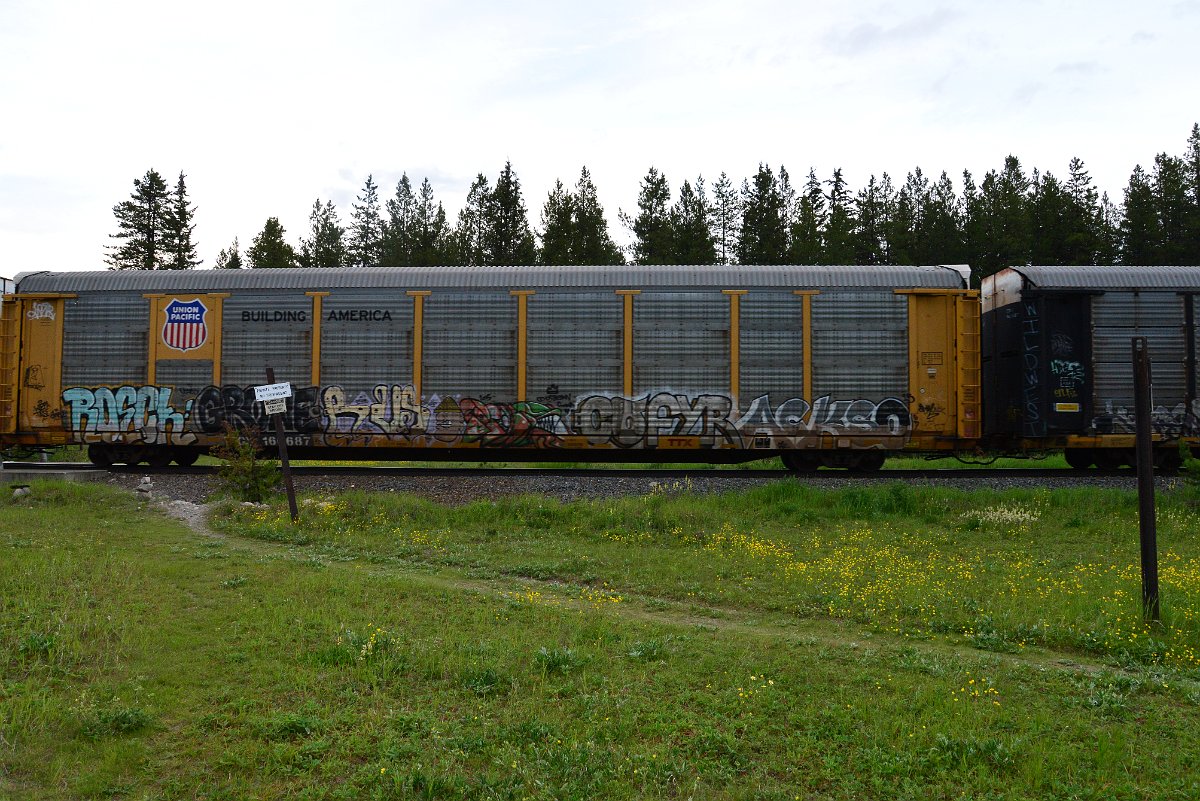 DSC_3182.JPG