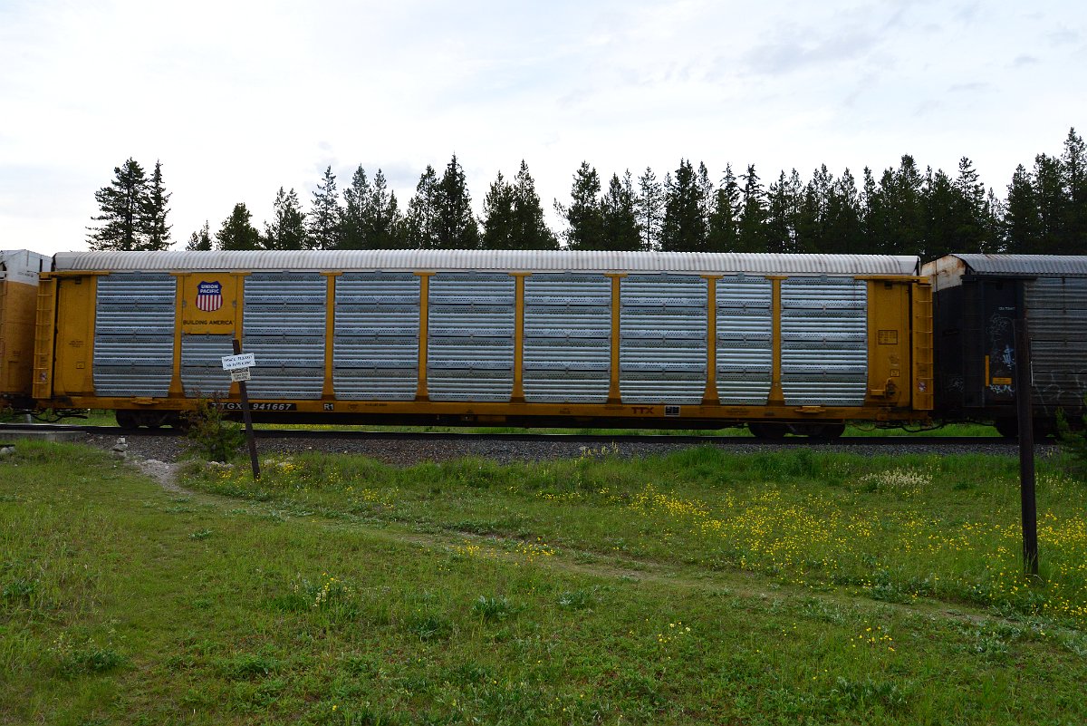 DSC_3193.JPG