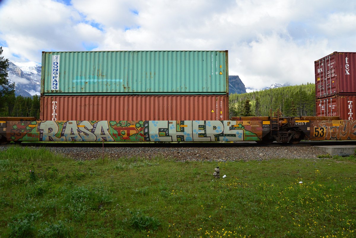 DSC_3282.JPG