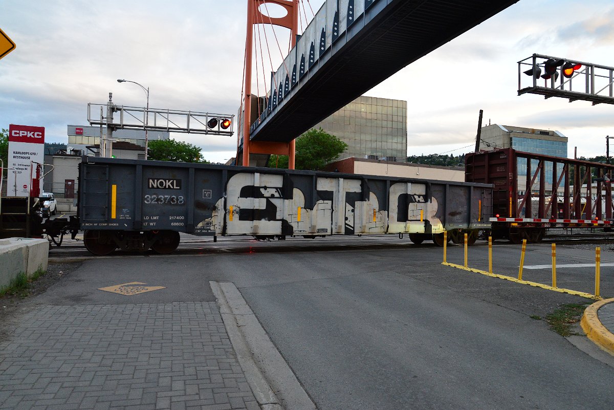 DSC_3773.JPG