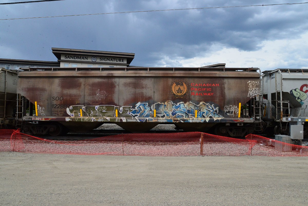 DSC_3827.JPG