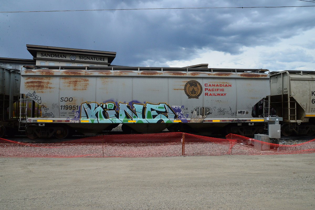 DSC_3890.JPG