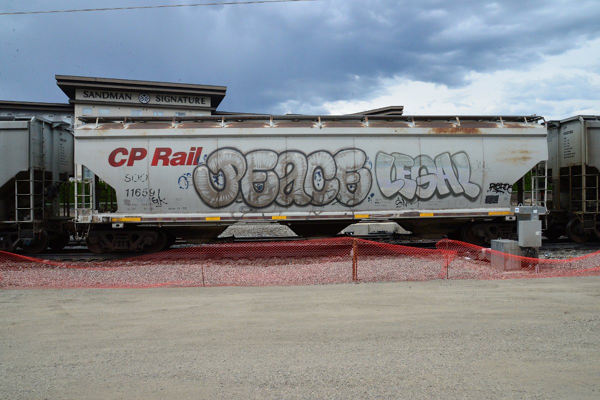 DSC_3898.JPG