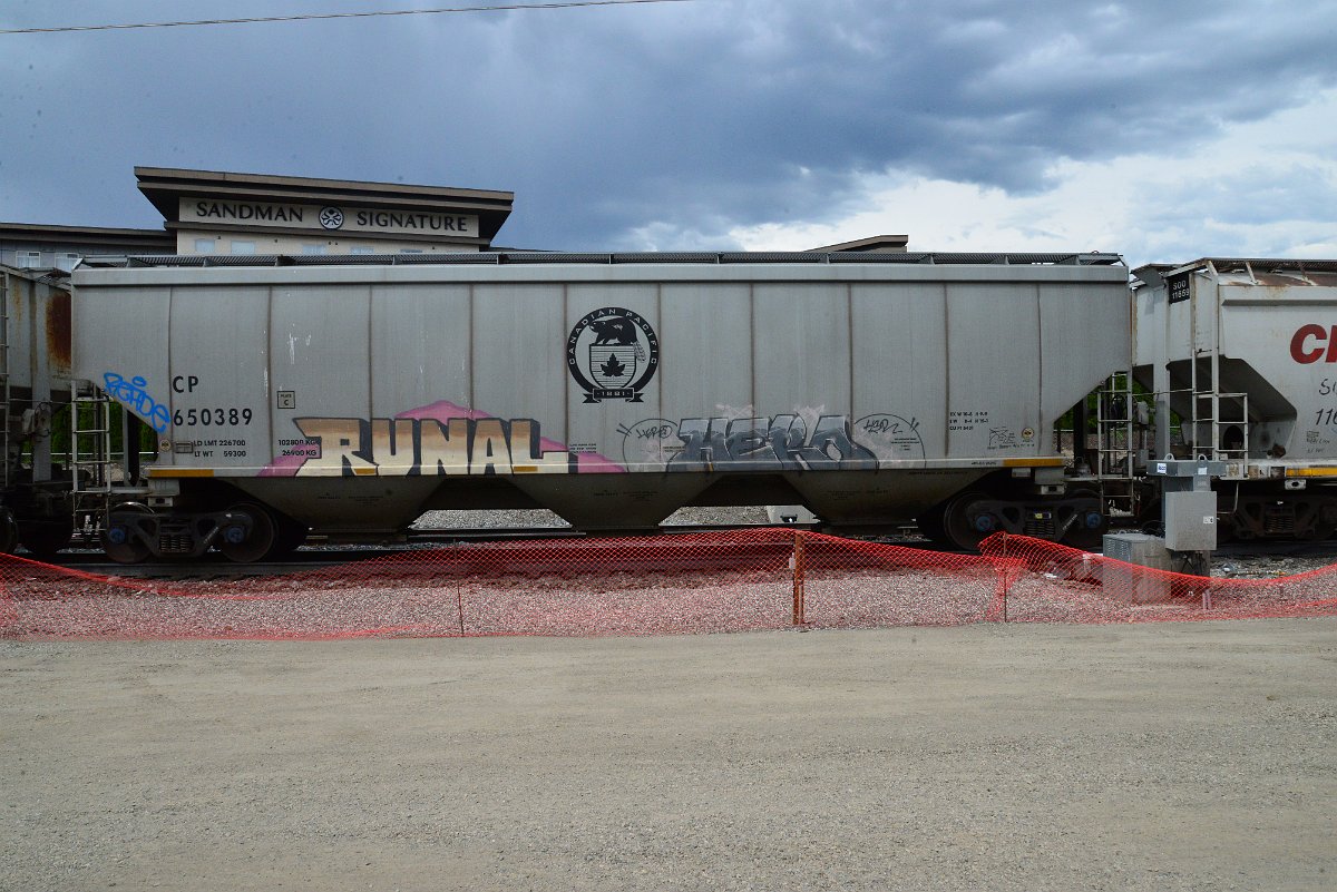 DSC_3899.JPG