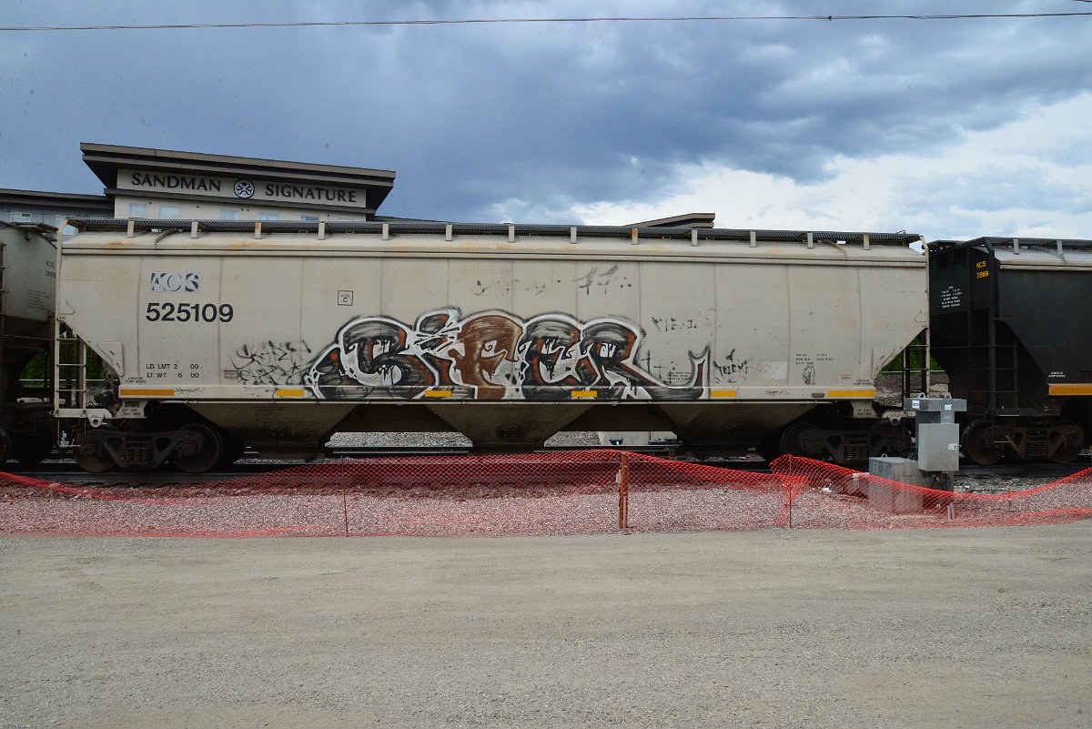 DSC_3905.JPG