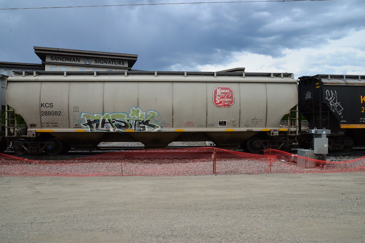 DSC_3917.JPG
