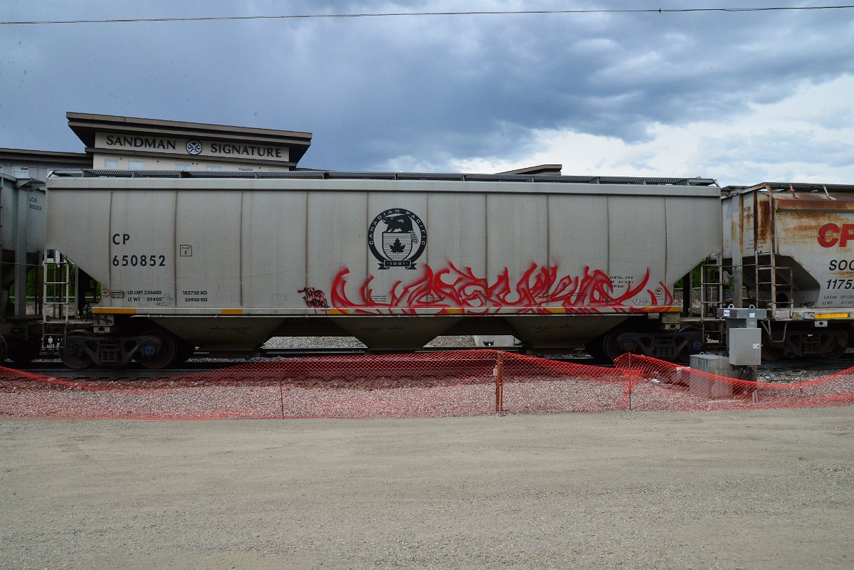 DSC_3933.JPG