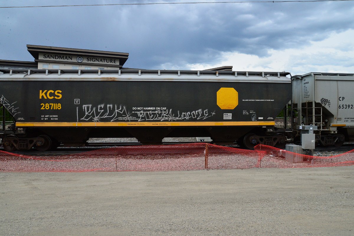 DSC_3941.JPG