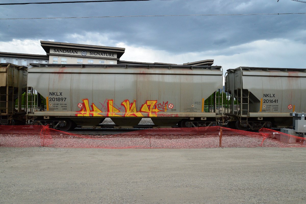 DSC_3979.JPG