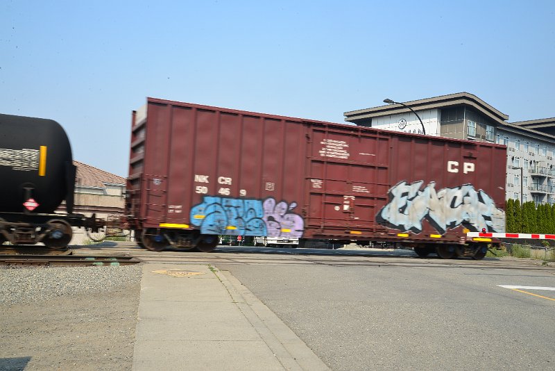 DSC_8609.JPG