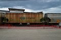 DSC_3980