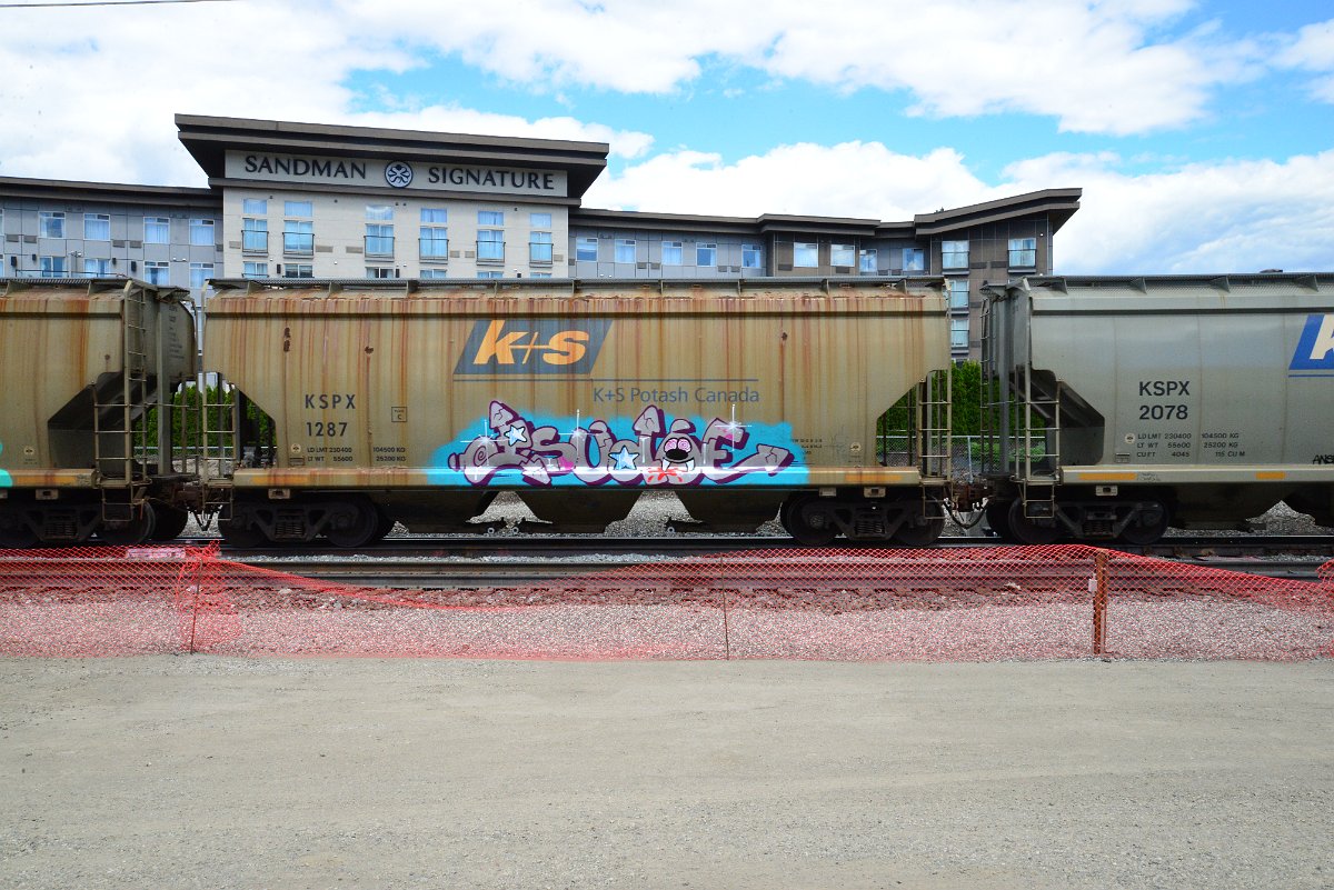 DSC_4424.JPG