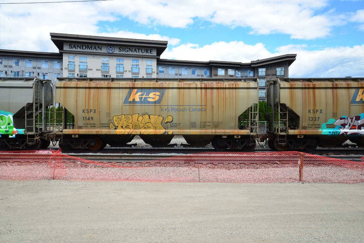 DSC_4426.JPG