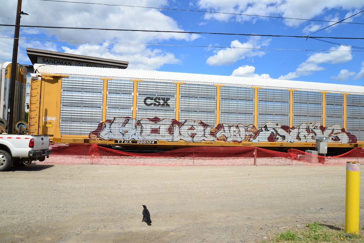 DSC_4522.JPG