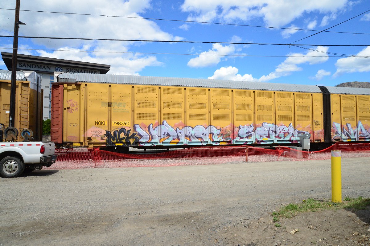 DSC_4529.JPG