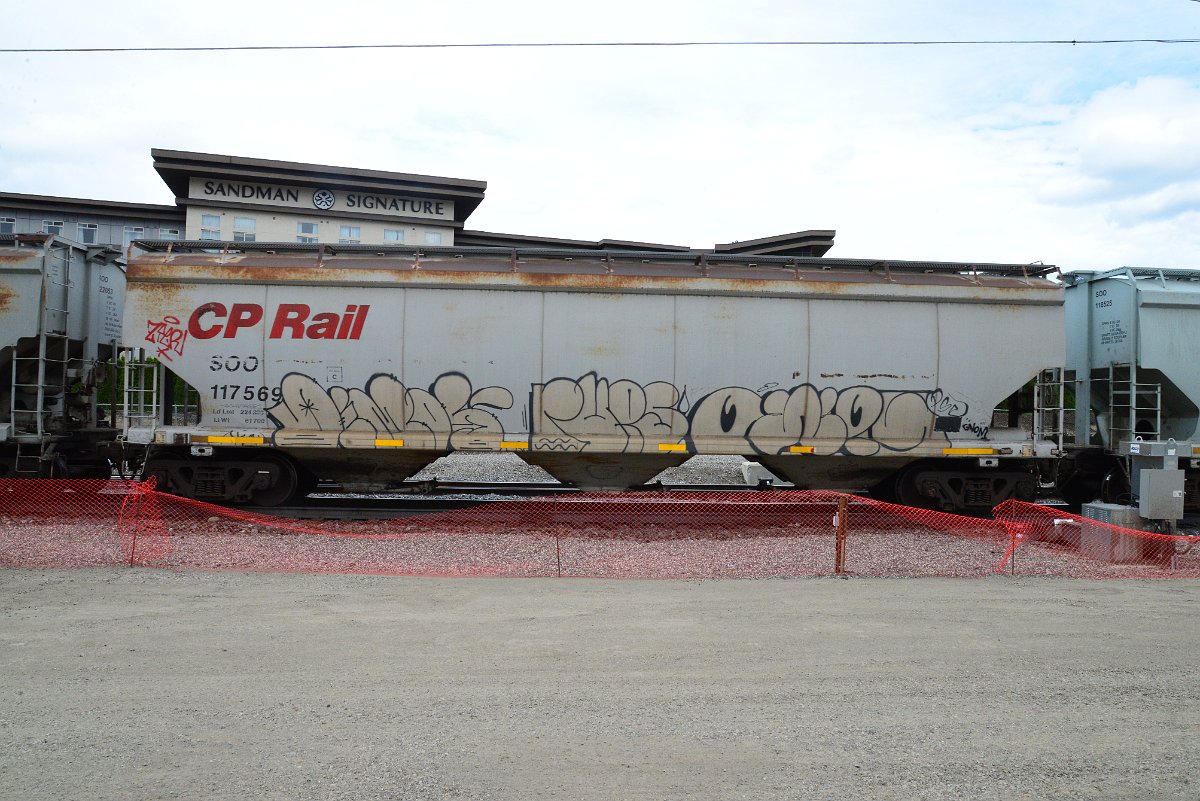 DSC_4983.JPG