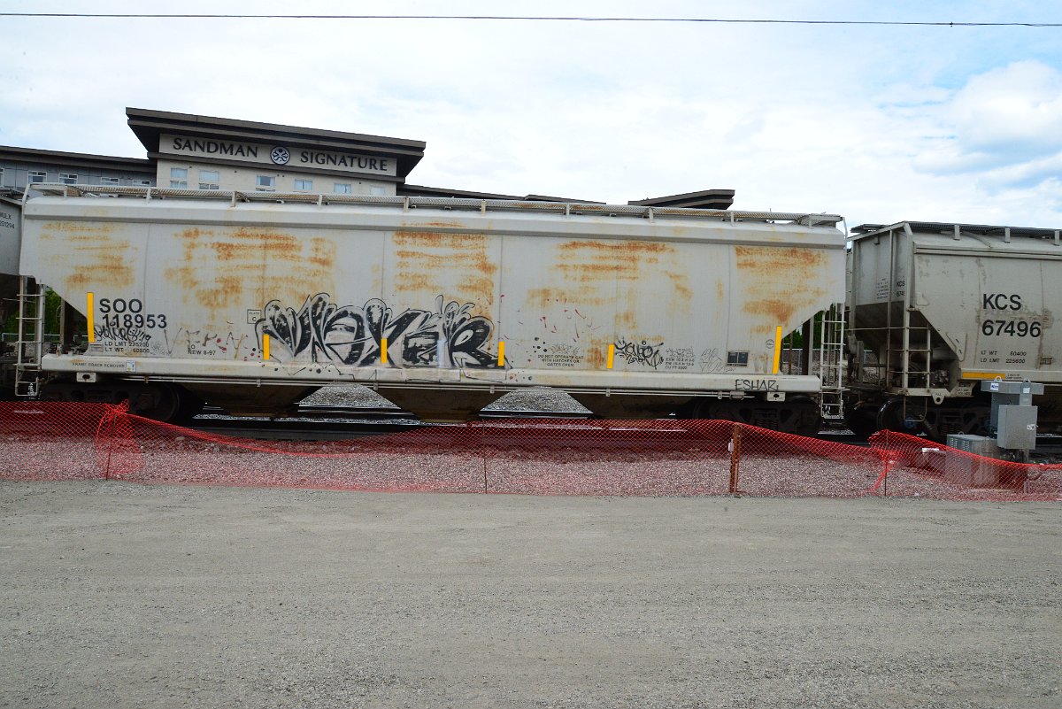 DSC_5005.JPG
